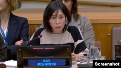 مای ساتو، گزارشگر ویژه سازمان ملل متحد درباره وضعیت حقوق بشر ایران