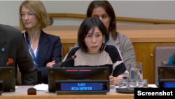 مای ساتو، گزارشگر ویژه سازمان ملل متحد درباره وضعیت حقوق بشر ایران