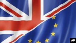 Ommaviy so’rovlar Yevropa Ittifoqida qolish va undan ajralib chiqish tarafdorlari deyarli teng ekanini ko’rsatmoqda. 