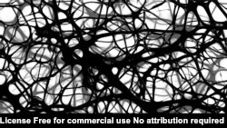 تصویر نقاشی از نورون های مغزی