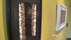 Artist Turns Plastic Bags into Art