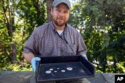 This photo, provided by the U.S. Military Academy at West Point, Aug. 30, 2023, shows West Point archeologist Paul Hudson displaying coins found in the lead box believed to have been placed in the base of a monument by cadets almost two centuries ago, in West Point, NY. (U.S. Military Academy at West Point via AP)