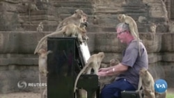 Xalqaro hayot – 23-noyabr, 2020-yil