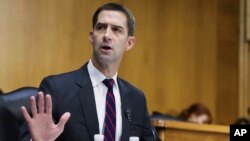 Senatori republikan Tom Cotton 