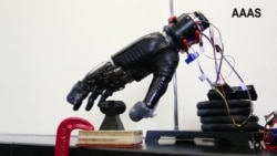 Scientists Create 'Electronic Skin' to Restore Sense of Pain