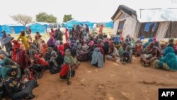 Sudandan Chadga qochganlar, 15-avgust, 2023. 