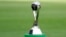 FILE - A view of the trophy displayed on the pitch prior to the final match between Ukraine and South Korea at the U20 World Cup soccer, in Lodz, Poland, Saturday, June 15, 2019.