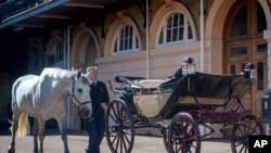 Philip Barnard-Brown, Kusir Senior dari Istal Istana Buckingham, menuntun seekor kuda Windsor Abu-abu satu dari empat kuda yang akan menarik kereta kuda yang akan membawa pasangan pengantin Pangeran Harry dan Meghan Markle, melewati kereta kuda terbuka Ascot Landau, di Istal Kerajaan, Istana Buckingham, Selasa, 1 Mei 2017.