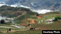 FILE - Rice terraces in Sapa, Vietnam.