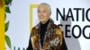 Jane Goodall Documentary Shows Her Early Work with Chimpanzees