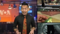 Diet-Diet Terampuh dan Metode Setrum bagi Pelanggar