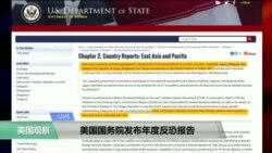 VOA连线：美国国务院发布年度反恐报告