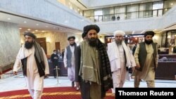 ملا غنی برادر، یکی از اعضای کابینه طالبان.