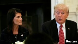 نیکی هیلی (چپ) سفیر ایالات متحده در سازمان ملل متحد در کنار رئیس جمهوری دونالد ترمپ