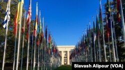 UN Geneva Office - 2016