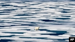 FILE - A polar bear stands on a floating ice patch in the Franklin Strait in the Canadian Arctic Archipelago, July 22, 2017. 