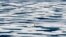FILE - In this Saturday, July 22, 2017, file photo, a polar bear stands on the ice in the Franklin Strait in the Canadian Arctic Archipelago. The U.N.’s climate chief Patricia Espinosa says deadlines set by some of the world's top polluters to end…