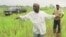 Mamady Douno, a rice farmer, shows technical assistants his crop of a new rice variety near Maferenya, Guinea in this Aug. 19, 2002 photo. 