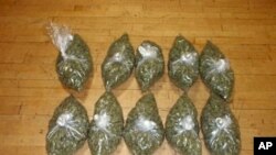 Di negara bagian Colorado dan Washington di AS, marijuana tidak dilarang digunakan orang dewasa untuk kesenangan pribadi (foto: Dok)..