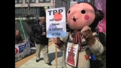 日本加入跨太平洋框架谈判 中国何去何从？