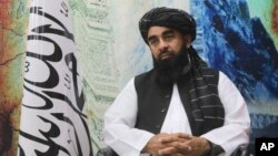 د طالبانو د حکومت ویاند ذبیح الله مجاهد