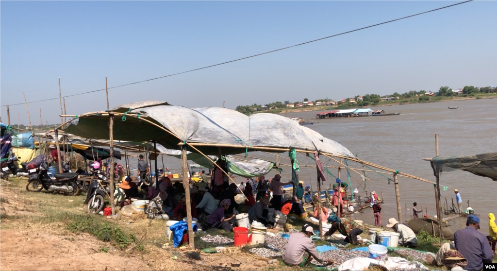 ប្រជាជន​បាន​មក​ទិញ​ត្រី​សម្រាប់​ធ្វើ​ប្រហុក​ផ្អកអំឡុង​ដើម​រដូវ​ប្រហុក​ ផ្អក​នៃ នៅ​ឃុំ​កំពង់លួង ស្រុក​ពញ្ញាឮ ខេត្ត​កណ្តាល​ កាលពី​ថ្ងៃសៅរ៍​ ទី​០៧ ខែធ្នូ ឆ្នាំ២០១៩។(ទុំ ម្លិះ/VOA)