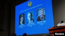 The names of Jeffrey C. Hall, Michael Rosbash and Michael W. Young are displayed during a news conference to announce the winner of the Nobel Prize in Physiology or Medicine 2017, in Stockholm, Sweden, Oct. 2, 2017. 