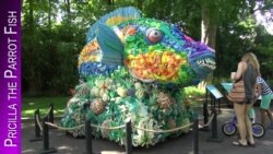 'Washed Ashore': Turning Ocean Trash into Art