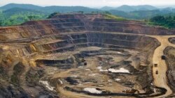 Yaoundé reçoit 73 millions de dollars du FMI; excédent du cobalt dans les marchés 
