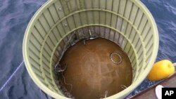 This photo provided by South Korea's Defense Ministry, shows an object salvaged by South Korea's military that is presumed to be part of the North Korean space-launch vehicle that crashed into the sea following a launch failure off Eocheongdo island, South Korea, May 31, 2023.