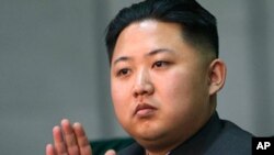 North Korea's heir-apparent Kim Jong Un (file photo)