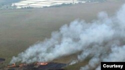 آتش‌سوزی گسترده در تالاب انزلی - عکس منتشرشده در رسانه‌های ایران