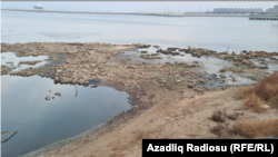 Xəzərin səviyyəsi 2005-ci illə müqayisədə 119 santimetr enib