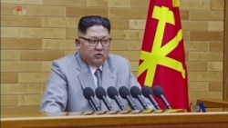 金正恩新年讲话释放更多信息