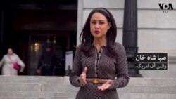 الیکٹورل کالج کیا ہے؟ ڈونلڈ ٹرمپ کے لیے 'لکی الیکٹر' کی گفتگو
