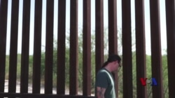 川普边境筑墙 环保人士担忧野生动物灭绝