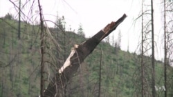 หนึ่งในสี่ของโลกจะแห้งมากขึ้นหากโลกร้อนขึ้น 2 องศาเซลเซียส