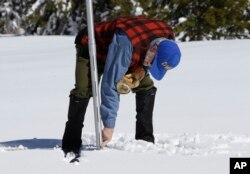 Frank Gehrke, chief of the California Cooperative Snow Surveys Program for the Department of Water Resources, checks the depth of the snowpack as he conducts the third manual snow survey of the season at Phillips Station near Echo Summit, California, March 1, 2017.