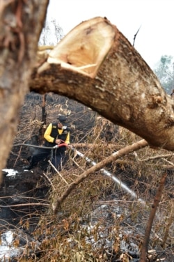 Seorang petugas pemadam kebakaran mencoba memadamkan api di hutan dan lahan gambut di sekitar Palangkaraya di Kalimantan Tengah pada 30 Oktober 2015. Foto: AFP/Bay Ismoyo)
