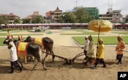 រូបឯកសារ៖ ព្រះអង្គម្ចាស់ នរោត្តម ចក្រាវុទ្ធ (ទី៣ រាប់ពីស្តាំ) យាង​បាច​ស្រូវ​លើ​ដី​ដែល​ទើប​ភ្ជួរ​រួច​ថ្មីៗ​នៅឆ្នាំ២០១២។