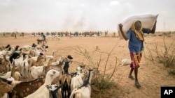 Le pays voisin de la Somalie, l'Éthiopoie, est également fortement touché par la sécheresse qui s'est abattue sur la Corne de l'Afrique. 