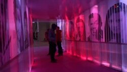 The Walkway Experience