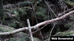 جنگل اوکی گاہارا میں جگہ جگہ گہرے گڑھے اور کھائیاں موجود ہیں۔