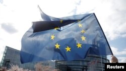 Arhiva - Demonstrant drži zastavu Evropske unije ispred zgrade Evropskog parlamenta u Strazburu, Francuska, 26. marta 2019.
