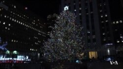 Rockefeller Center Christmas Tree to be Recycled for Homes