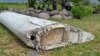 Barnacles on Debris Could Provide Clues to Missing MH370 