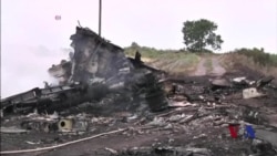 国际社会呼吁彻底调查马航坠机事件