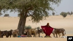 ARCHIVES - Une maman vient faire examiner son bébé à la recherche de signes de malnutrition dans un centre d'alimentation sans rendez-vous à Dibinindji, un village désertique de la ceinture du Sahel au Tchad, le 18 avril 2012.