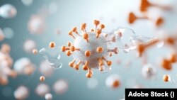 ویروس و تعامل آن با سلول ها در بیالوژی 