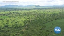 With US Help, Cambodia Wants to be Landmine-free by 2025 